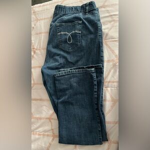 Riders by Lee, Women’s Plus Size Straight-Legged 18W Blue Jeans